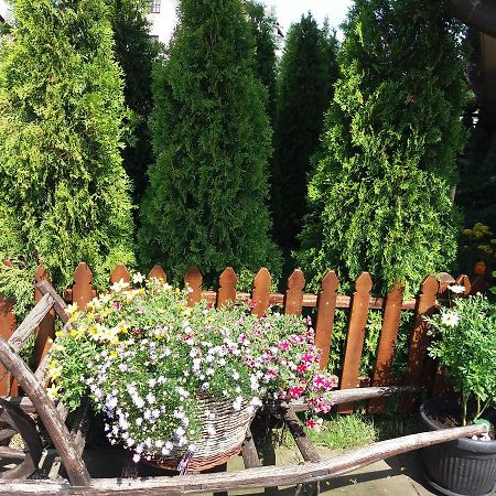 Centar! Lara Zlatibor Apartment Luaran gambar